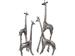 Safari Giraffe Herd