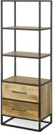 Solid Mango Wood & Iron Delancy Two Drawer Open Bookcase