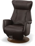 Q31 Power Reclining Chair in Leather with Bruin Base